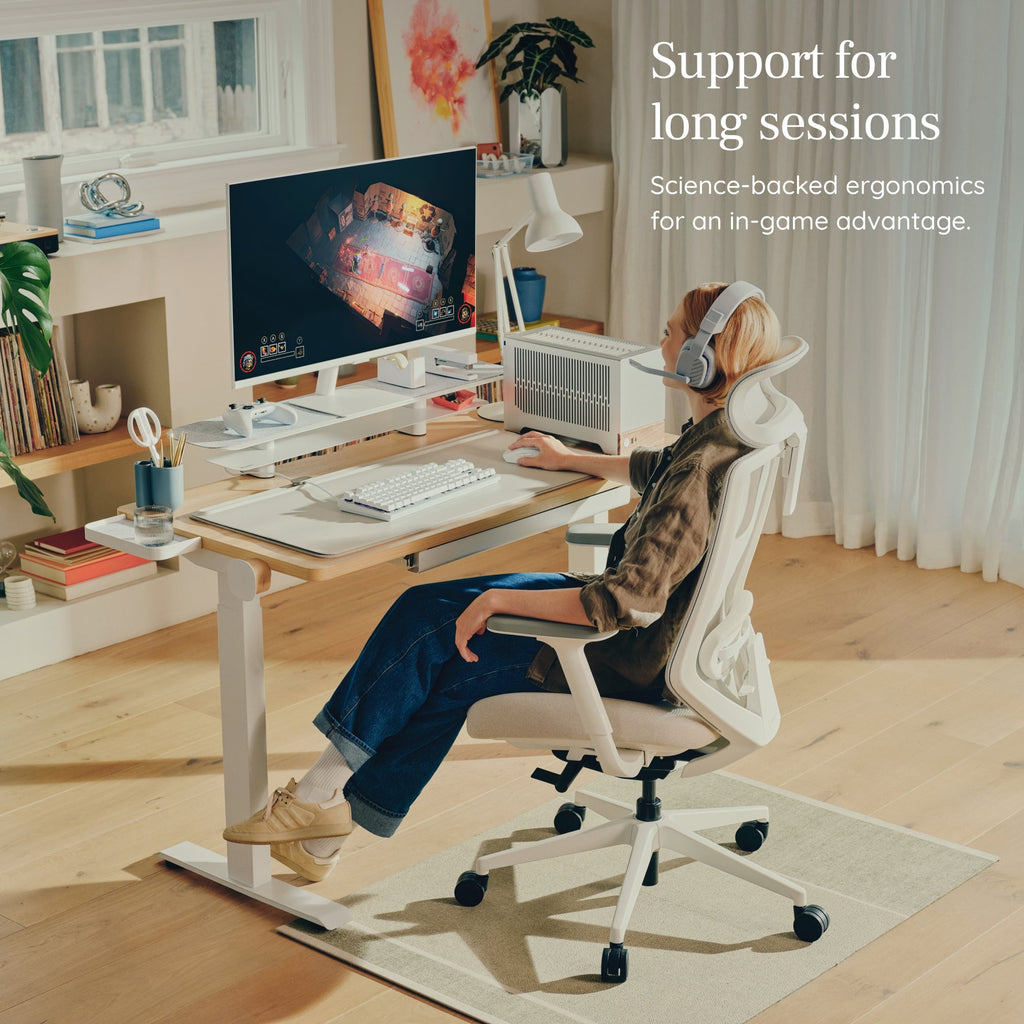 Ergonomic Chair Pro