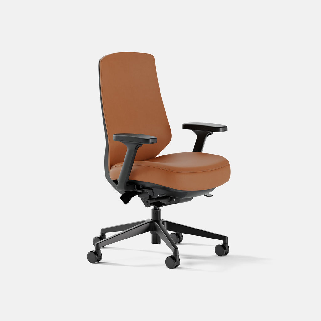 Ergonomic Chair Pro