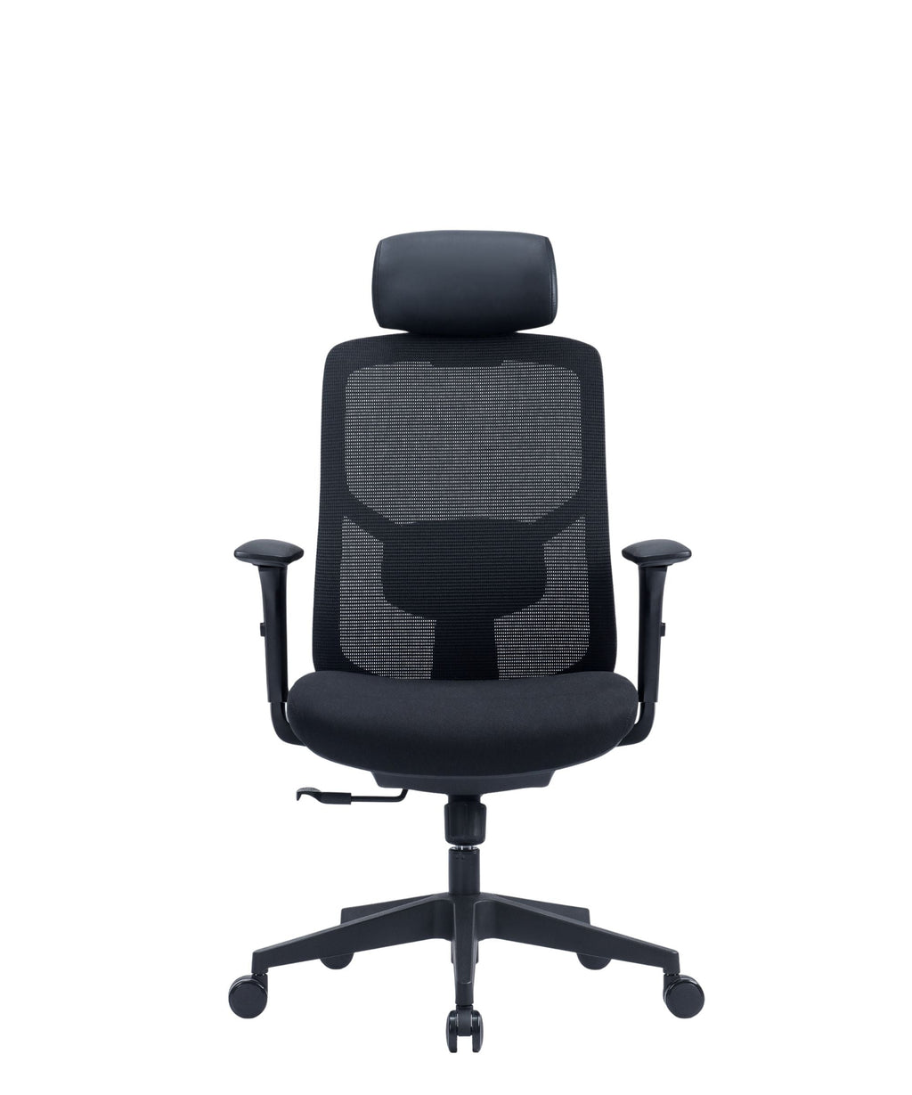 High Back Mesh Back w/Headrest