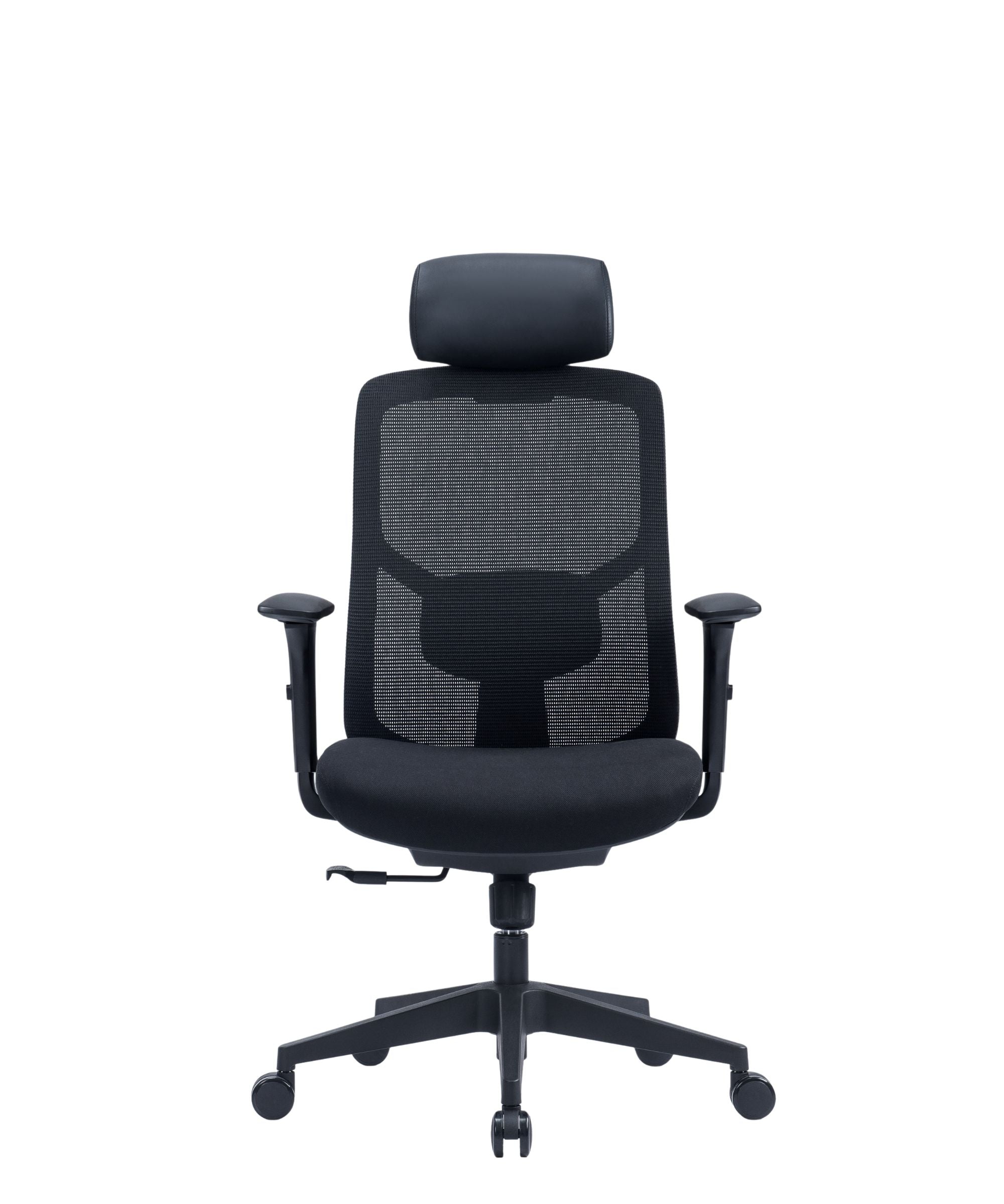 High Back Mesh Back w/Headrest