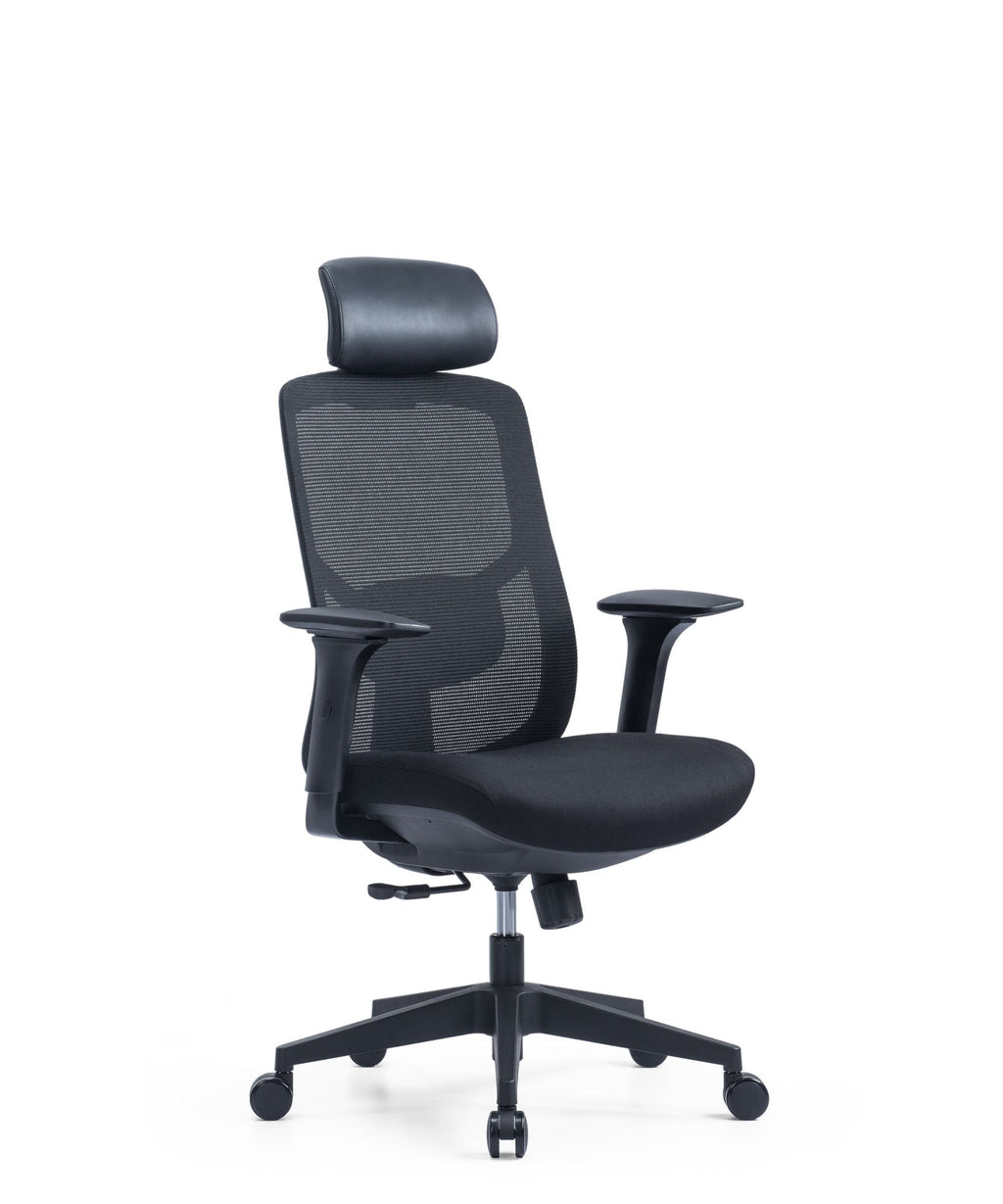 High Back Mesh Back w/Headrest