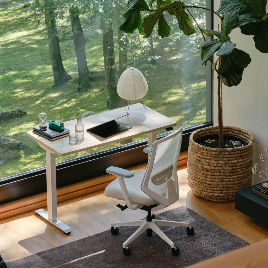 Ergonomic Chair Pro